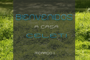 Celeti: An Abstract Typeface for Editorial Expression