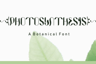 How Photosynthesis Became My Favorite Font for Business Branding