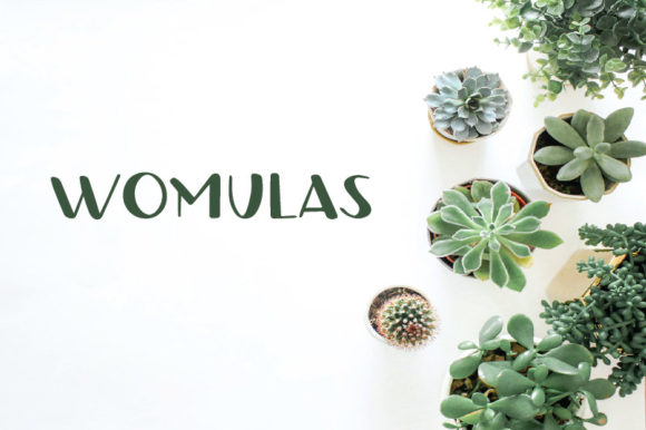 Using Womulas: A Playful Font for Professional Branding