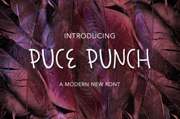 Why Puce Punch is a Perfect Font for Your Business Brand