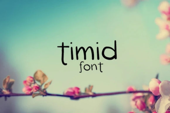 Working with Timid: A Calm Review of a Friendly Display Font
